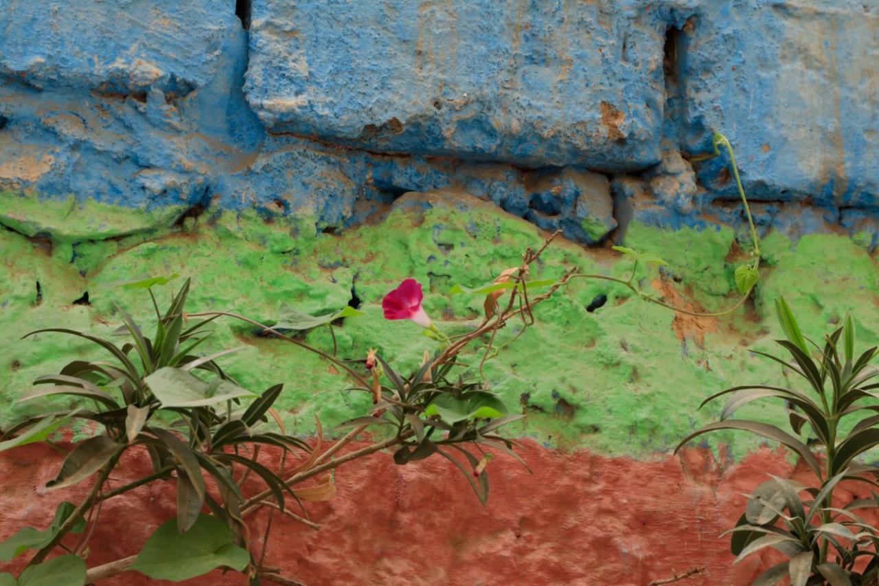 Riad Maryam Taroudant Dış mekan fotoğraf
